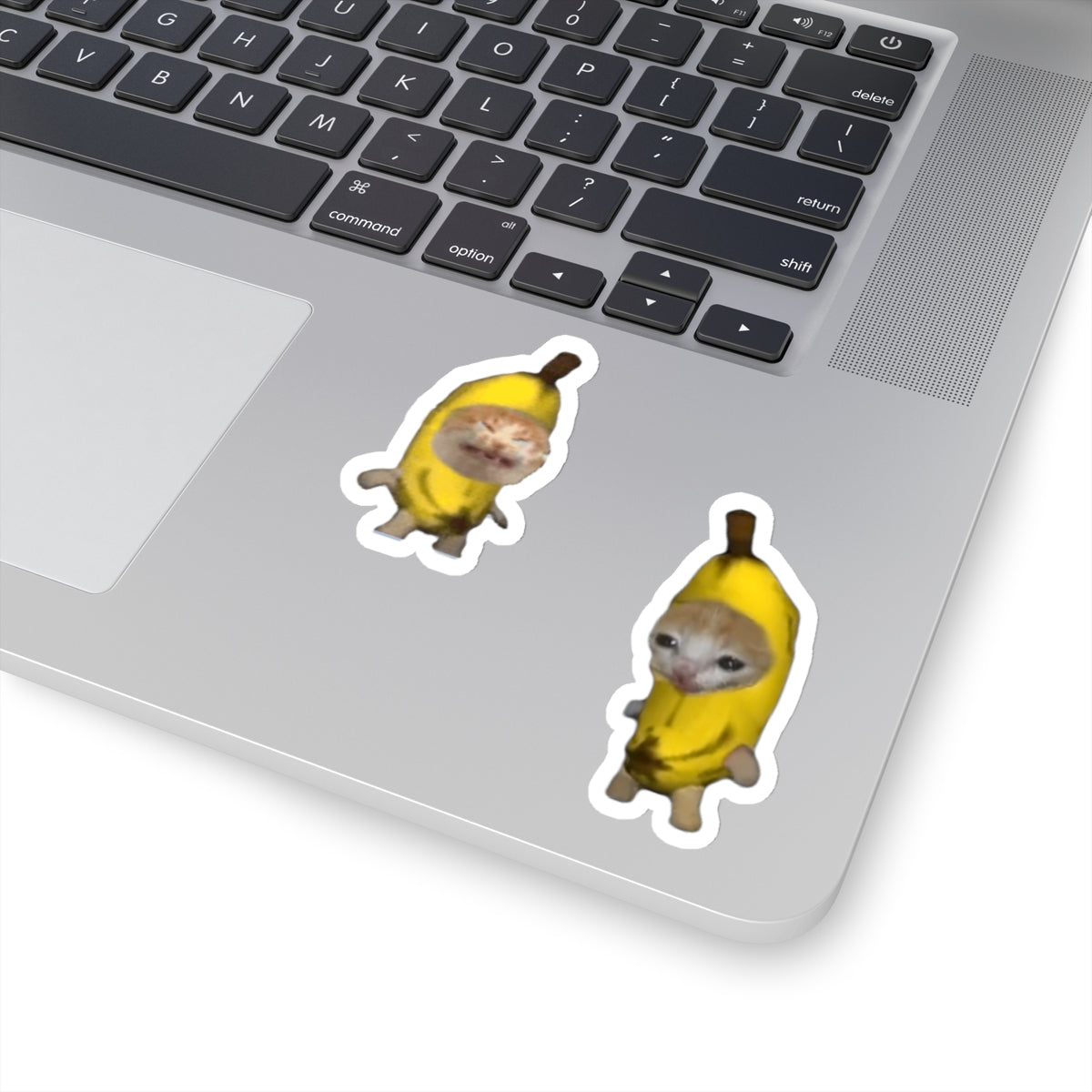 Banana cats Kiss-Cut Sticker