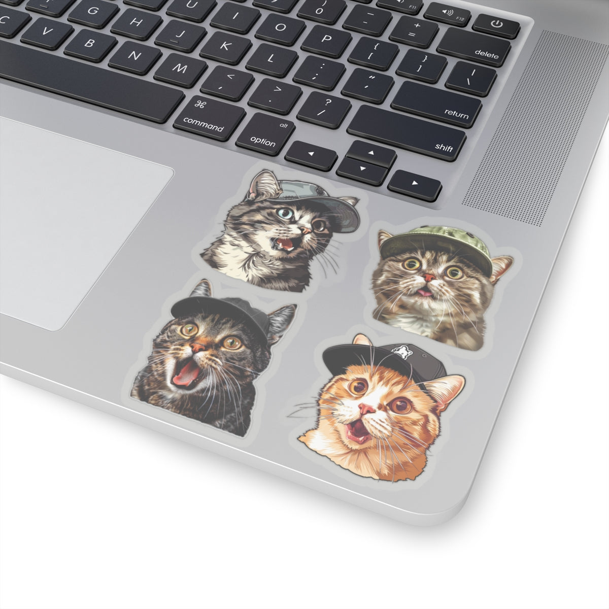 Cool Snooty cats meme Kiss-Cut Sticker